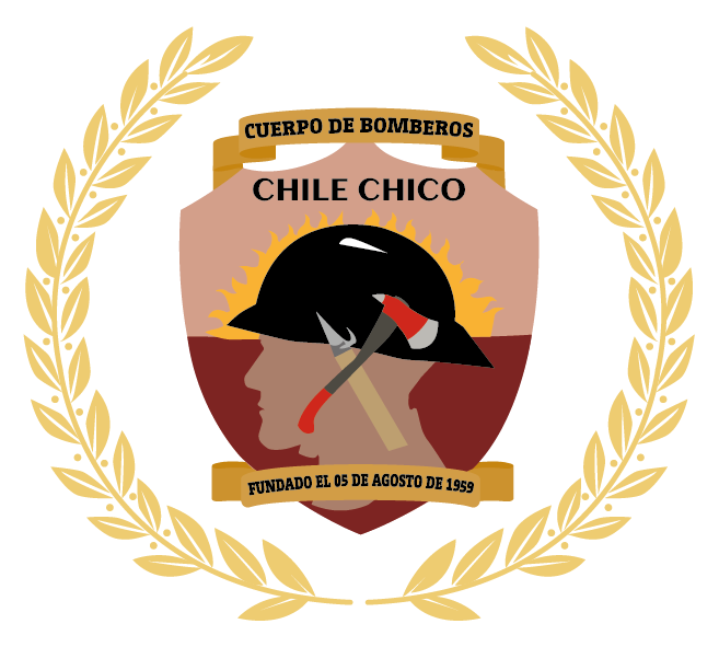 cuerpo_Chile_Chico_1742660556.png